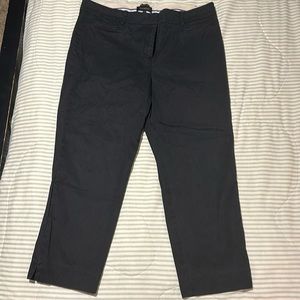 The perfect crop by Talbots size 16